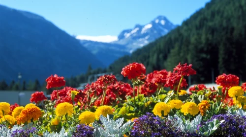 Previsioni per Matera: 01/03 - 03/03/2013